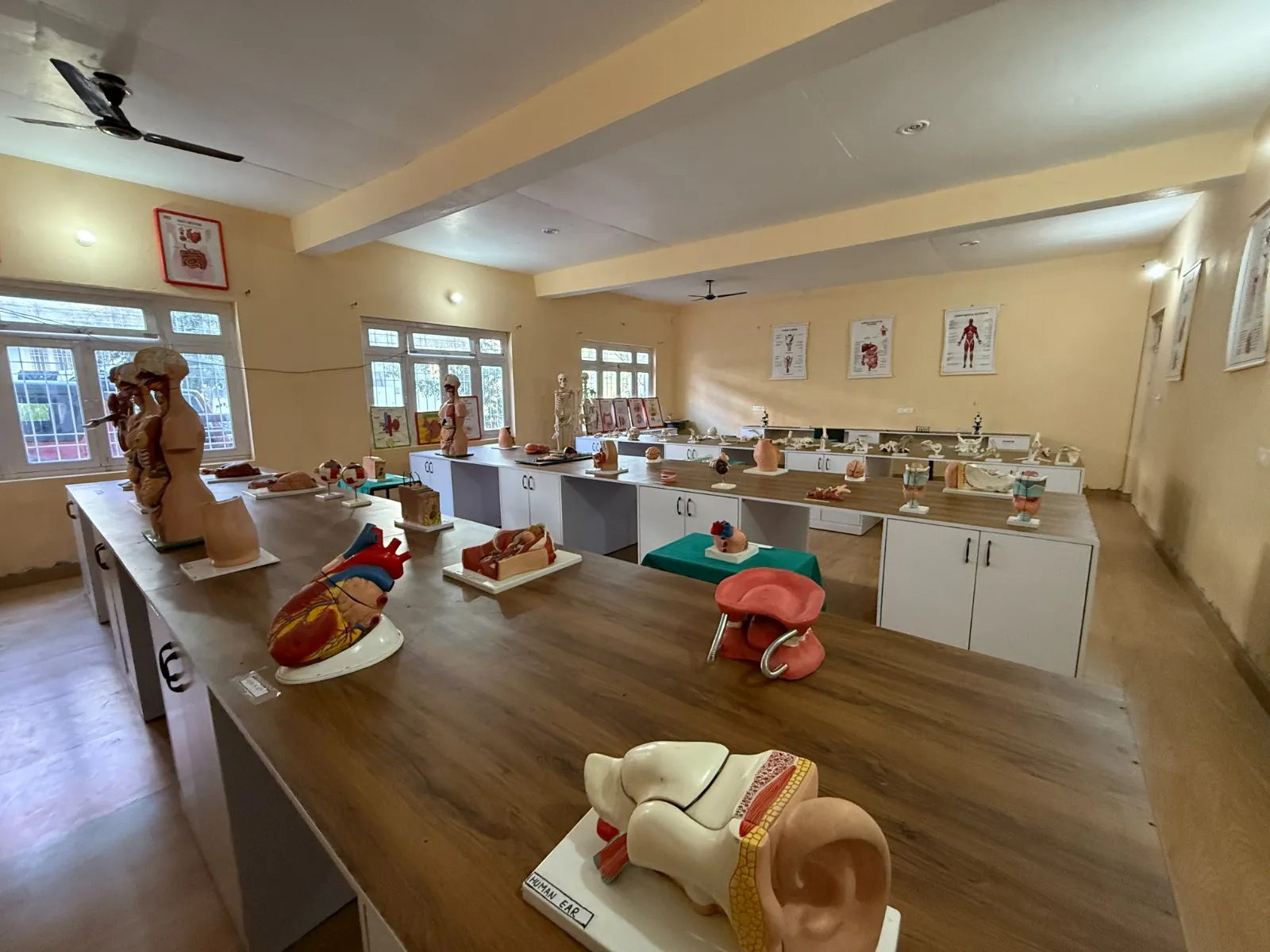 Nursing laboratory at PGI Pithoragarh